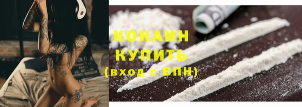 винт Дмитриев