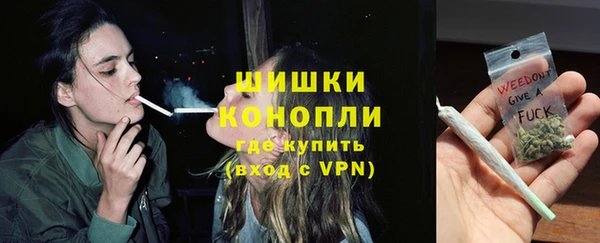винт Дмитриев
