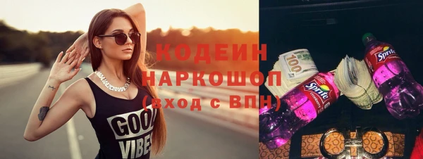 индика Тында