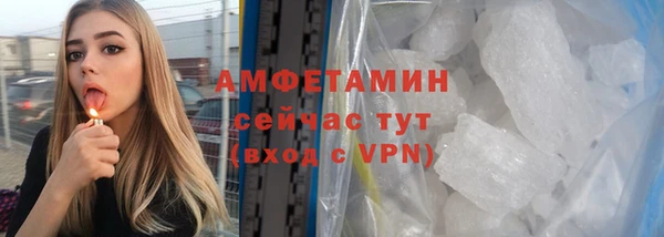 прущие грибы Туринск