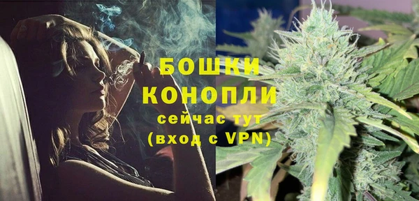 индика Тында