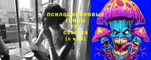 мдпв Гусиноозёрск