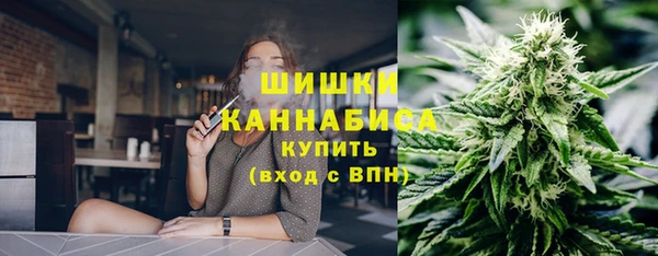 винт Дмитриев