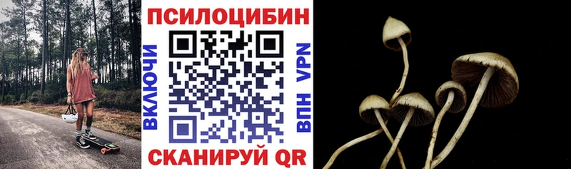 Псилоцибиновые грибы мухоморы  цена   Гаврилов-Ям 